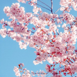 治愈放松催眠解压瑜伽纯音乐