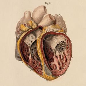 HER (feat. ETK) (Explicit)