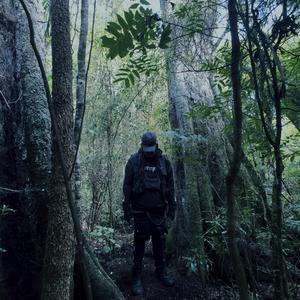 SHADOWREALM (Explicit)