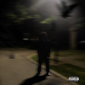 slums (feat. praiseswerv) (Explicit)