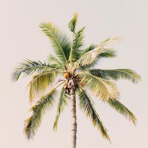 Florida(feat. jean parker)