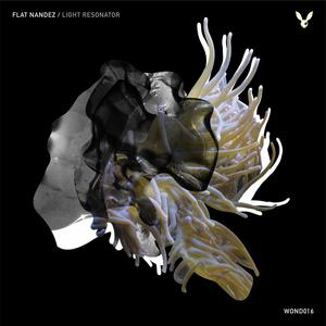 Flatgroove (Storlon remix)