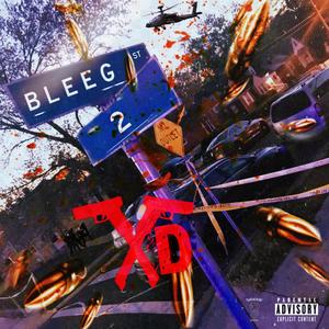 Bleeg ST 2 (Explicit)