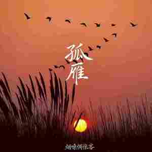孤雁封面