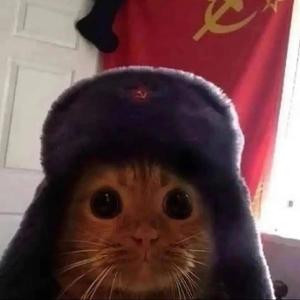 no russian (Explicit)