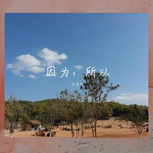 因为，所以封面
