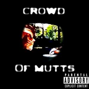 Crowd Of Mutts (Explicit)