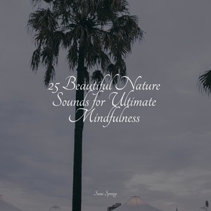 25 Beautiful Nature Sounds for Ultimate Mindfulness