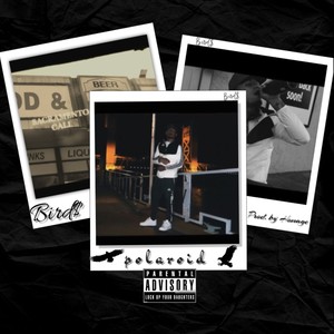 Polaroid (Explicit)