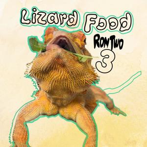 Lizard Food