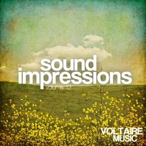 Sound Impressions, Vol. 13