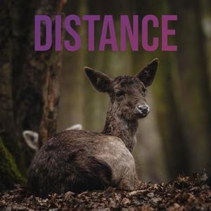 Distance