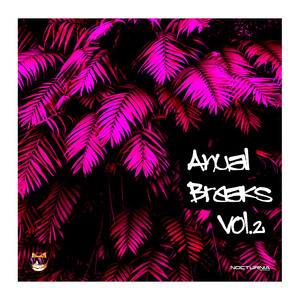 Anual Breaks Vol.2