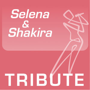 ProSound Tribute Band - Where Did The Feeling Go