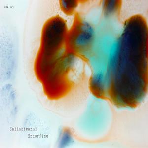 Sara Pa Dial (Remix)