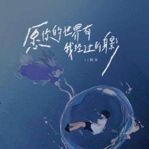 愿你的世界有我经过的身影