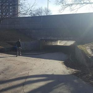 100 vägar natural (Explicit)