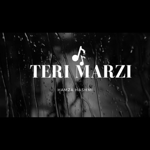 Teri Marzi