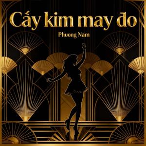 Phuong Nam - Cây kim may đồ