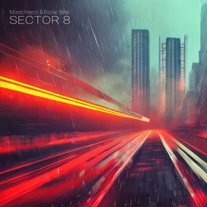 SECTOR 8