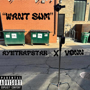 want sum (feat. ayetrapstar) (Explicit)