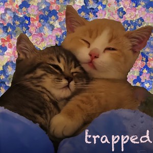 Trapped