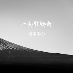 一曲肝肠断 (Remix)