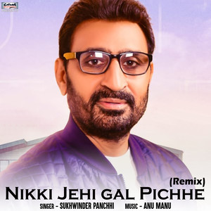 Nikki Jehi Gal Pichhe (Remix)