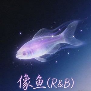 像鱼 (R&B) - 匿玫瑰封面