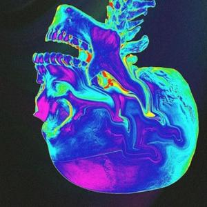 Skeletons (Explicit)