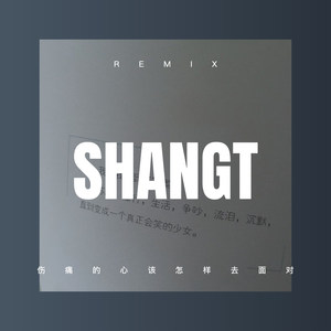 一情雨梦 (DJ版)