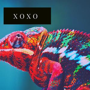 XOXO (Explicit)