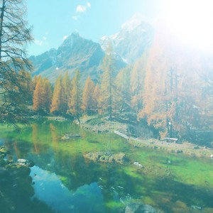 대자연의 가르침(행복한 위안)