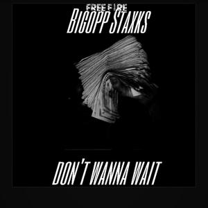 Don't Wanna Wait (Explicit)