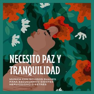 Necesito Paz y Tranquilidad: Música con Sonidos Suaves para Escuchar cuando Sientes Nerviosismo o Estrés