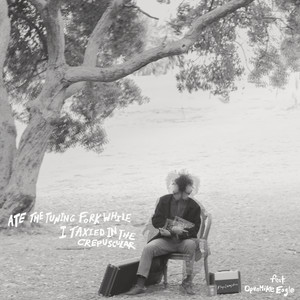 Ate the Tuning Fork While I Taxied in the Crepuscular