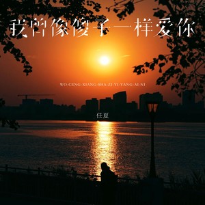 我曾像傻子一样爱你 (DJ何友版)封面