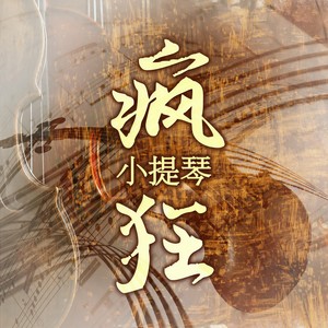 Violin Sonatina in G Major, Op. 100, B. 120 - I. Allegro risoluto