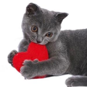 glue stick (Explicit)