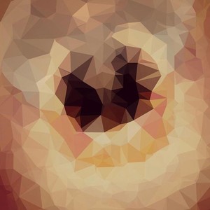 My Favorite Song(feat. Cicely O'Kain & D-Trait) (Explicit)