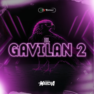 El Gavilan 2 (En Vivo)