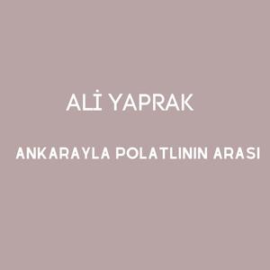 Ankarayla Polatlının Arası