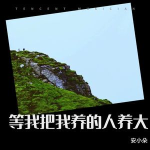 等我把我养的人养大