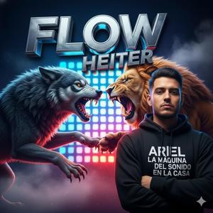 Flow heiter