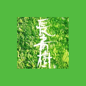 风飘飘