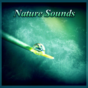 Water Sounds