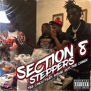 Section 8 Steppers (feat. ridgegotthechalk) [Explicit]