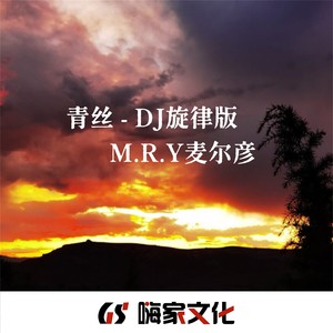 青丝 (DJ旋律版) - M.R.Y麦尔彦封面