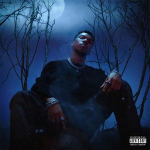 NIGHTFALL(feat. Boslen & Dro Kenji) (Explicit)