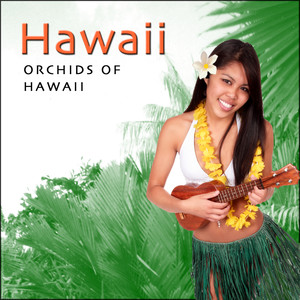 Hawaiian Lullaby